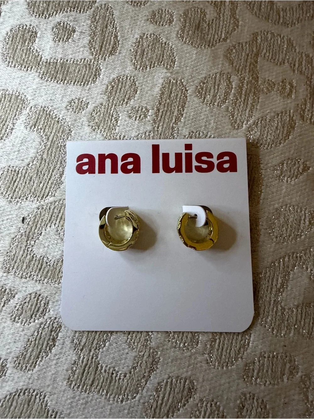 NWT Ana Luisa Eden Earring